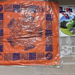 2組セット 奥田民生 30周年記念 59-60 座布団 オレンジ パープル