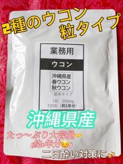 2025年最新】沖縄還元ウコンの人気アイテム - メルカリ