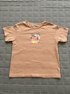 anyfawn 110cm Tシャツ りんごとハリネズミ