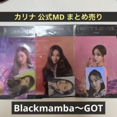 カリナ 公式 MD グッズ まとめ売り 【即購入可】 カリナ 公式 MD グッズ まとめ売り 【即購入可】 - メルカリ