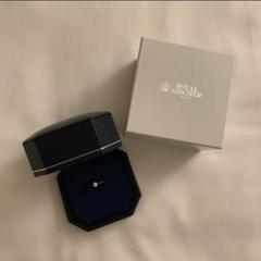 ソマリ　50万円で購入！ロイヤルアッシャー 7号 ソマリ様専用 50万円で購入！ロイヤルアッシャー 7号 - メルカリ