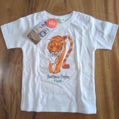 【新品未使用】学研の図鑑 x BEAMS mini トラ Tシャツ 120