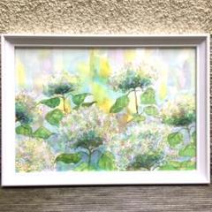 光とアナベル no.2 透明水彩画 額入り