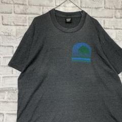 USA製90sヴィンテージTシャツ！シングルステッチ　グレー半袖古着　XL728