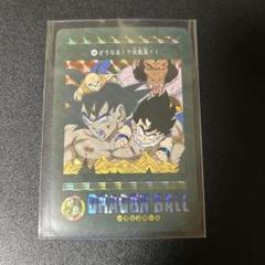 ももたろうさん専用　ドラゴンボール　ビジュアルアドベンチャー　2枚 ドラゴンボールZ ビジュアルアドベンチャー No.256 孫悟空と仲間