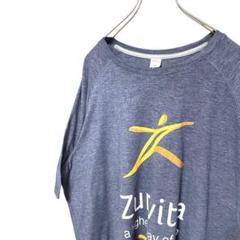 Zurvita sport-tec 半袖Tシャツ　グレー　灰色 3XL