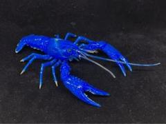 フジミ　自由研究24EX-1 いきもの編 アメリカザリガニ　ブルー　完成品 自由研究24 いきもの編 アメリカザリガニ（レッド）｜自由研究