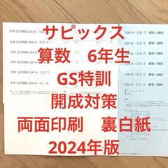 2025年最新】サピックス 6年 テストの人気アイテム - メルカリ