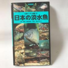 日本の淡水魚 : 写真検索