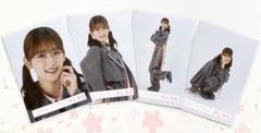櫻坂46 井上梨名 生写真20種コンプ 港区パセリ BACKS ポロシャツ 櫻坂46 12th Single BACKS LIVE!! 井上梨名 ポロシャツコーデ