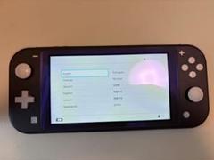【美品】Nintendo Switch Lite グレー 本体セット 動作確認済