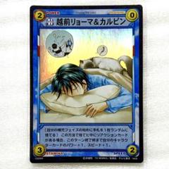 テニスの王子様 テニプリ 越前リョーマ カルピン トレーディングカード パジャマ