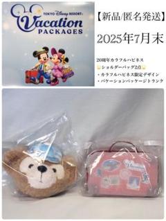 2025年最新】ディズニーバケーションパッケージグッズの人気