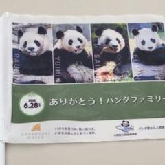 【新品未開封】公開最終日購入品　アドベンチャーワールド　パンダグッツ　セット アドベンチャーワールド パンダ グッズ4点セット - メルカリ