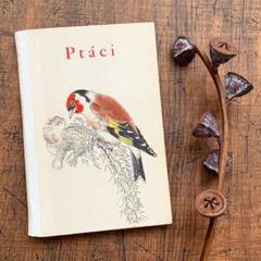 洋書　古書　Familiar Wild Birds 1&2巻　アンティーク鳥図鑑 サイズ交換OK】 Wild Familiar 古書 洋書 Birds アンティーク