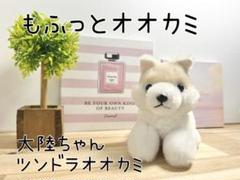 2025年最新】ツンドラオオカミの人気アイテム - メルカリ