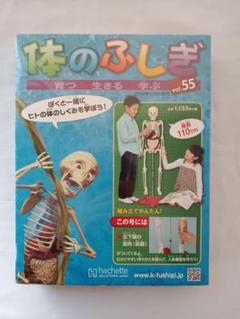 アーサーが教える 体のふしぎ41〜80巻【2/2】※商品説明を必ずお読み下さい‼︎ 2025年最新】アーサー 体のふしぎの人気アイテム - メルカリ