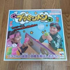 立って遊ぶジャンボブタミントン