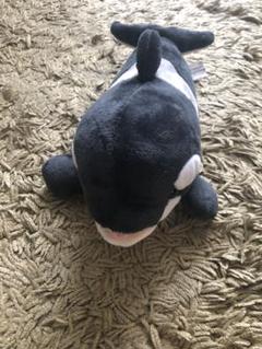 名古屋港水族館　限定　シャチ　巨大　ぬいぐるみ　くじ　特賞　2等　セット　レア 名古屋港水族館 限定 シャチ 巨大 ぬいぐるみ くじ 特賞 2等