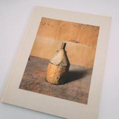 Joel Meyerowitz: Morandi's Objects