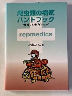 2025年最新】爬虫類の病気ハンドブック カメ・トカゲ・ヘビの
