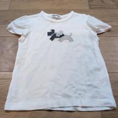ファミリア　familiar テリア ホワイト Tシャツ110