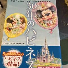 【超激レア!】海洋堂 シンデレラ城 ディズニーリゾート 30周年 スタチュー 超激レア!】海洋堂 シンデレラ城 ディズニーリゾート 30周年