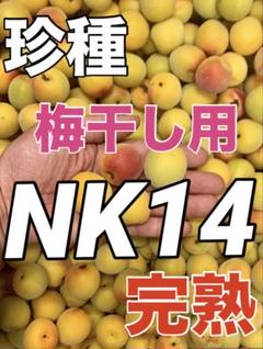1233完熟NK14梅　2L〜Lサイズ6kg 梅干し用　キルトパッチ梅店 1200⚠️完熟NK14梅 2L〜Lサイズ4kg 梅干し用 キルトパッチ梅店