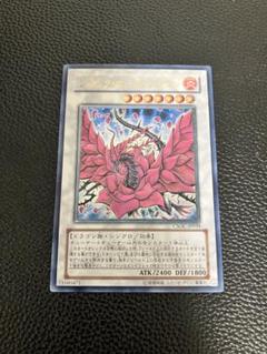 【美品】遊戯王　ブラックローズドラゴン　旧レリーフ　csos Amazon.co.jp: 遊戯王 CSOC-JP039-UL 《ブラック・ローズ