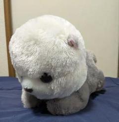 【最終値下げ】うきうきらっこ らいちゃん
