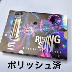 2025年最新】Rising Sun ダーツの人気アイテム - メルカリ