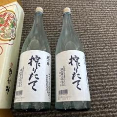 値下げ！2024年　北の勝搾りたて&福司しぼりたてセット 値下げ！2024年 北の勝搾りたて&福司しぼりたてセット