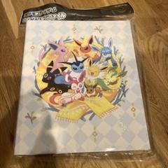 ポケモンカードゲーム　コレクションファイル　イーブイズ
