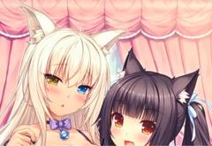★ねこぱら★アズキ＆ココナツ★さより★特大バスタオル★ウルトラレア★ 2025年最新】ネコぱら ココナツの人気アイテム - メルカリ