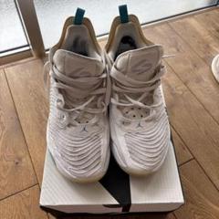 Jordan ルカ1PF 28.5cm バスケットボールシューズ