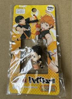 新品非売品 ハイキュー!! 宮城フェス in J-WORLD 2018 澤村大地 中古】キーホルダー・マスコット(キャラクター) 澤村大地