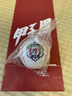 甲子園101回大会 大会ボールのサムネイル