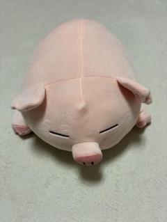 値下げ中 新品未使用 送料込 ぬいぐるみ オルゴール ブタ SENGER センガー オルゴール ブタ ぬいぐるみ - メルカリ