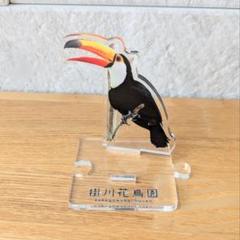 2025年最新】掛川花鳥園の人気アイテム - メルカリ