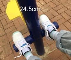 24.5cm Air Jordan11 Retro Low Legend 白青