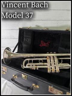 2025年最新】STRADIVARIUS bach 37の人気アイテム - メルカリ