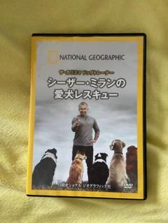 シーザー・ミランの犬のトラブル解決ショーほか DVD 3枚セット シーザー・ミランの犬のトラブル解決ショーほか DVD 3枚セット