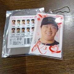 阪神タイガース2025 シークレット　レイヤーアクリルキーホルダー　大山選手