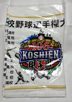 甲子園優勝タオル　特大　新品未使用　希少品 昨年は好評すぎて「製造が追いつかなかった」幻の甲子園歴代優勝