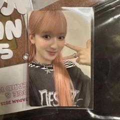 ME:I 山本すず　ぬいぐるみ ミャイズ おすわりME:EYE's トレカ付き ME:I 山本すずぬいぐるみ ミャイズ おすわりME:EYE's セルフ