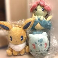 ポケモン サイコソーダリフレッシュぬいぐるみ イーブイ キレイハナ フシギダネ ポケモン サイコソーダリフレッシュぬいぐるみ イーブイ