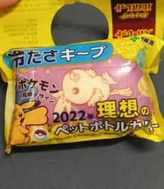 ポケモン 2022年 理想のペットボトルカバー　和柄デザイン