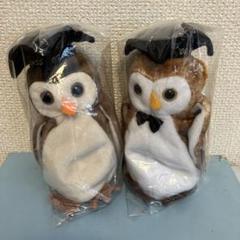 【希少•入手困難】tyビーニーベイビーズ フクロウぬいぐるみ　※限定品 楽天市場】TY ふくろうのオウレット Mサイズ 15cm ビーニー