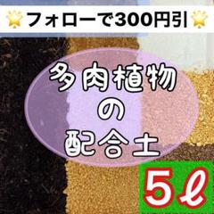 ⭐︎庭屋が作った多肉配合土⭐︎ 5ℓ 多肉植物 サボテン 挿木 種まき 魂根植物