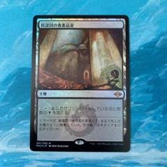 2025年最新】foil 陰謀団の貴重品室の人気アイテム - メルカリ